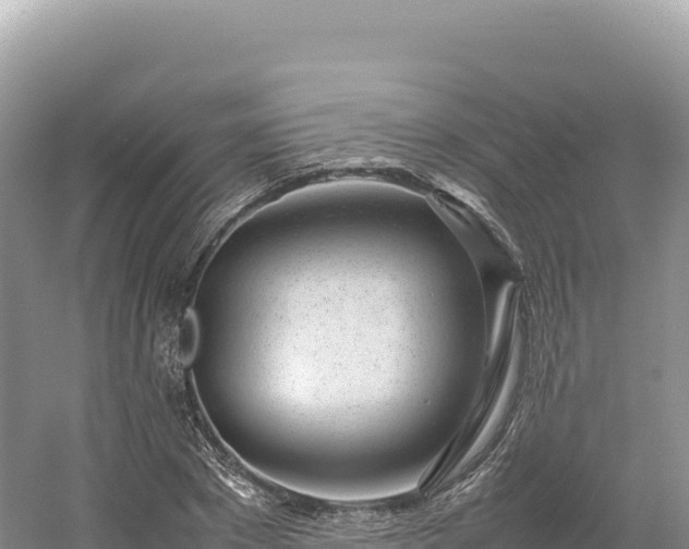 X0000054390881200508051644