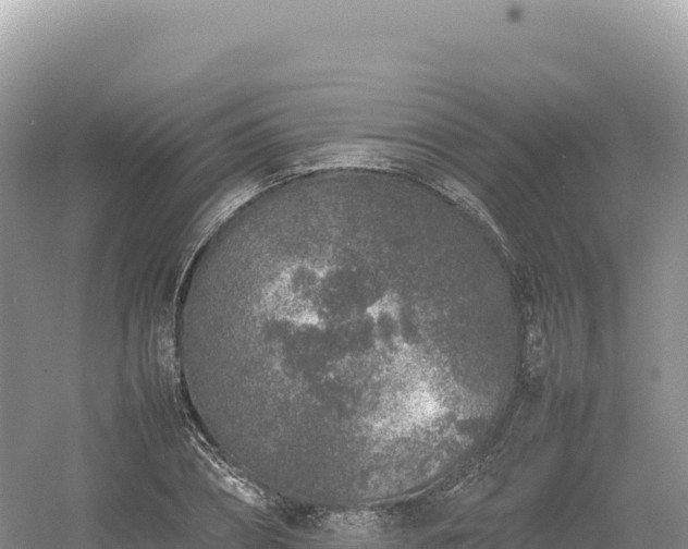 X0000054390882200508051644