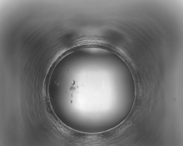 X0000054390883200508051644