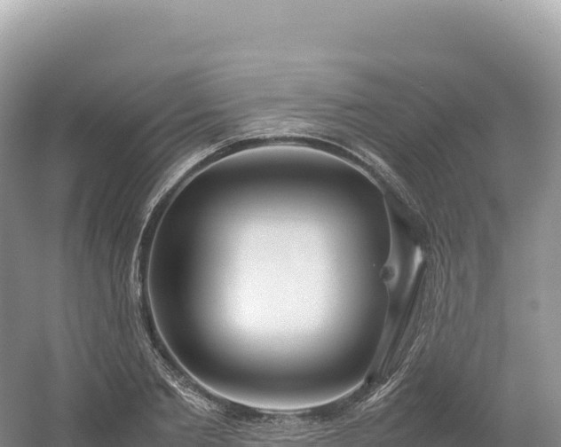 X0000054390885200508051644