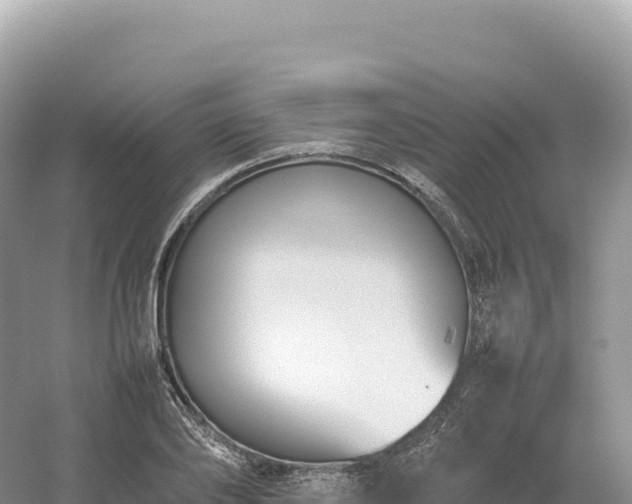 X0000054390886200508051644