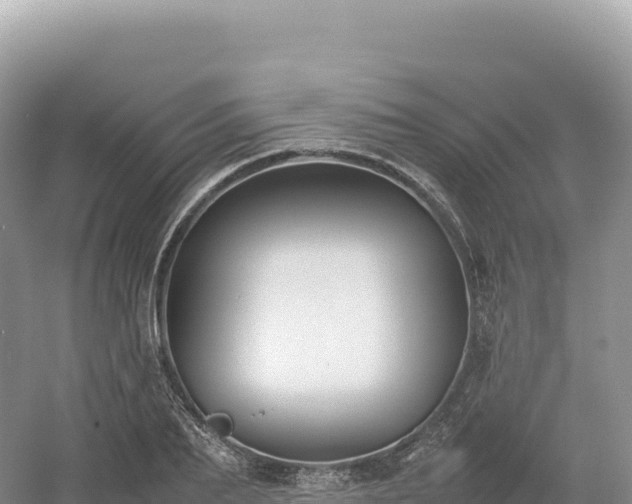 X0000054390887200508051644