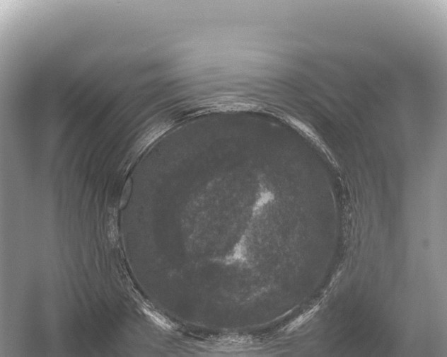 X0000054390889200508051644