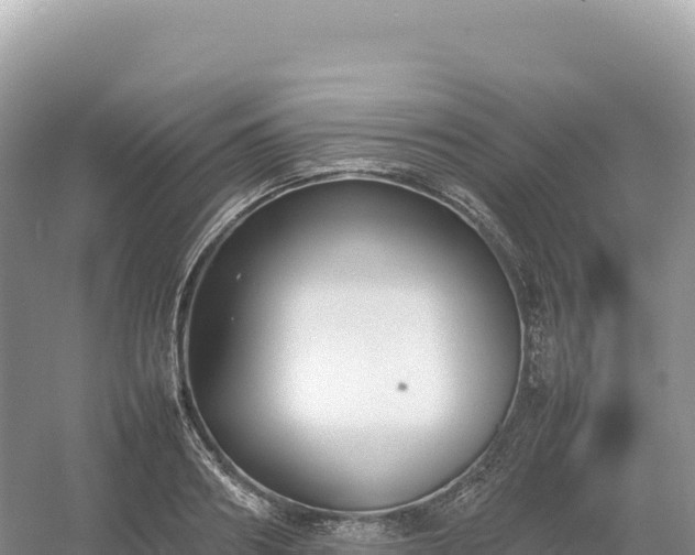 X0000054390890200508051644