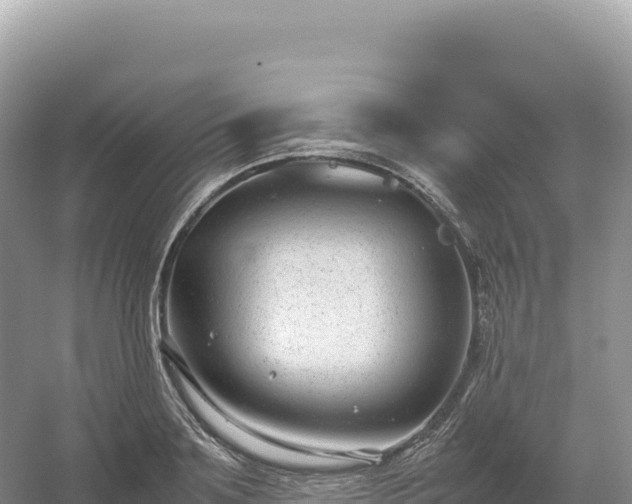 X0000054390891200508051644