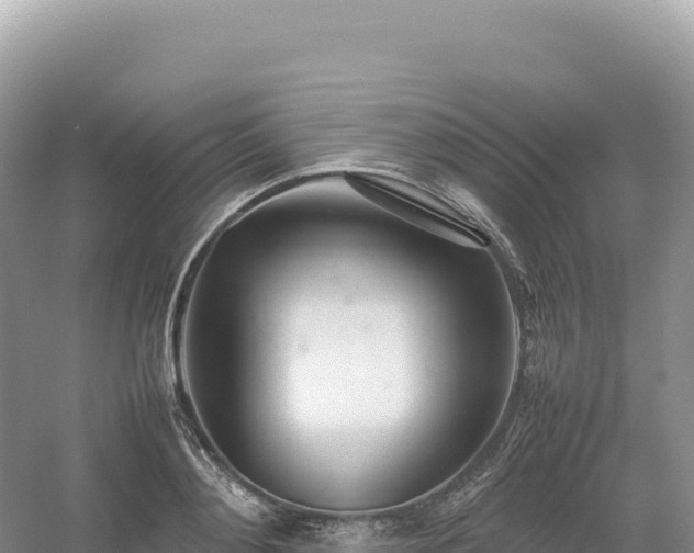 X0000054390892200508051644