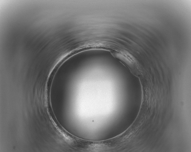 X0000054390894200508051644