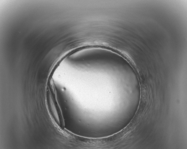 X0000054390895200508051644