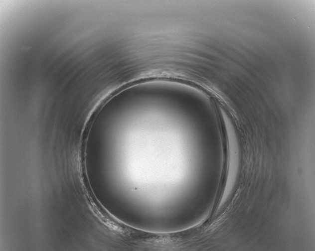 X0000054390896200508051644