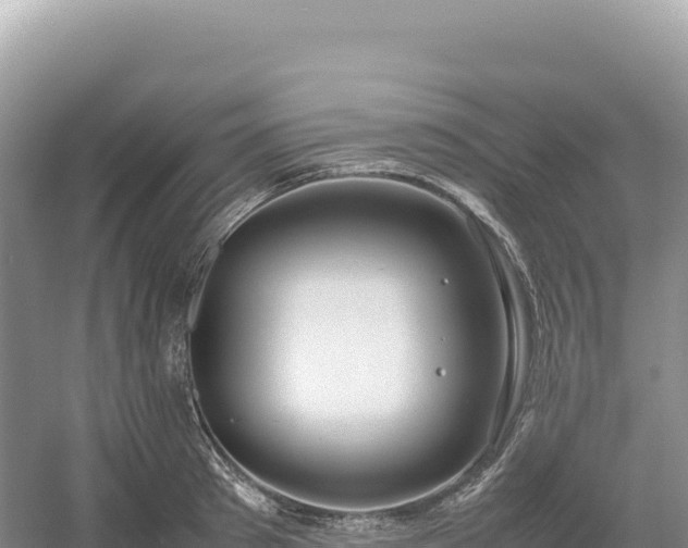 X0000054390897200508051644