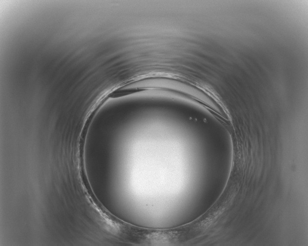 X0000054390898200508051644