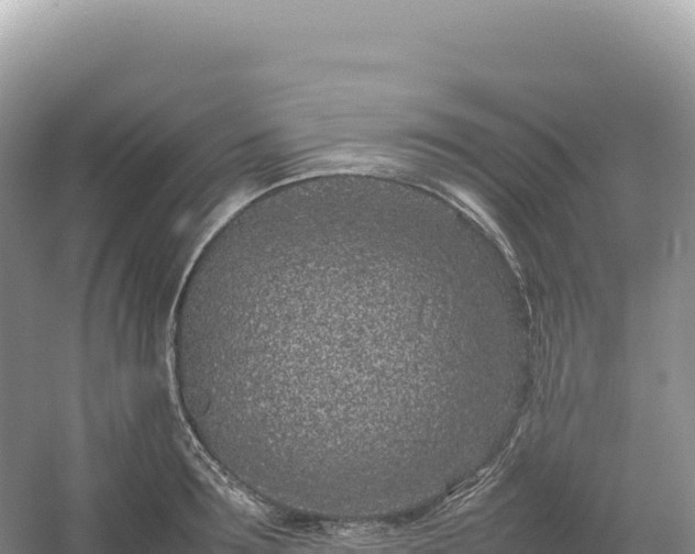 X0000054390899200508051644