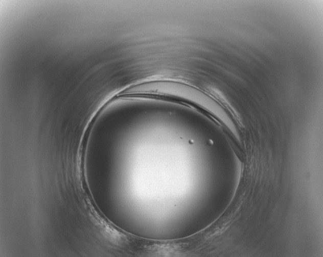 X0000054390900200508051644