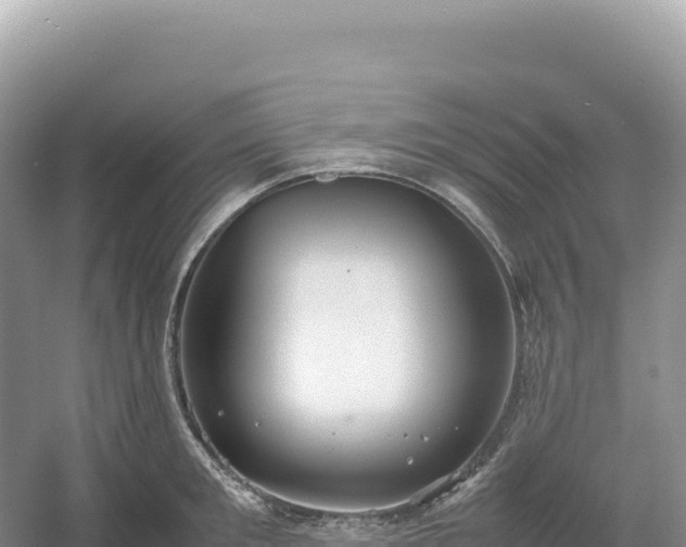 X0000054390901200508051644