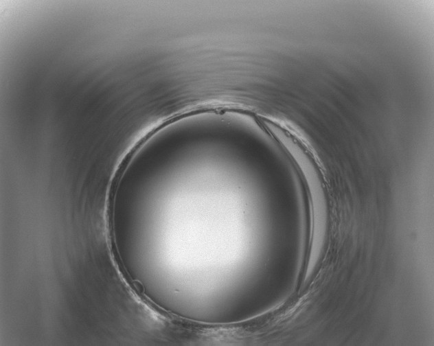 X0000054390902200508051644