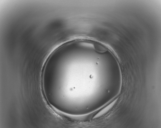 X0000054390903200508051644