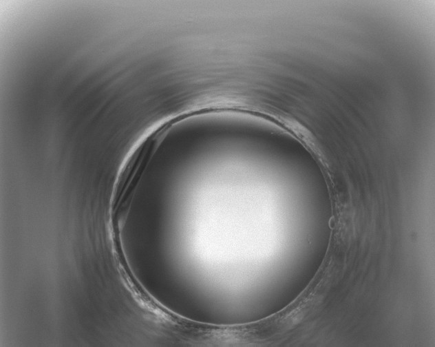 X0000054390904200508051644