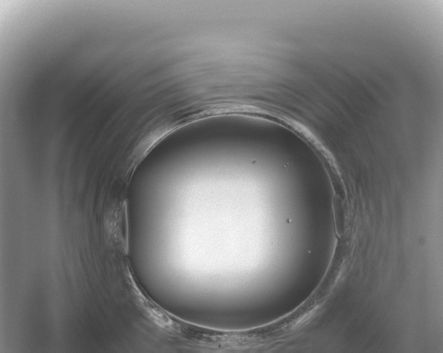 X0000054390905200508051644