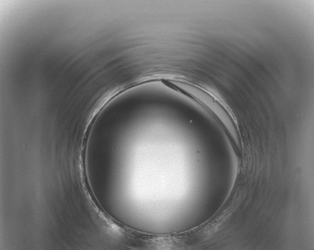 X0000054390906200508051644