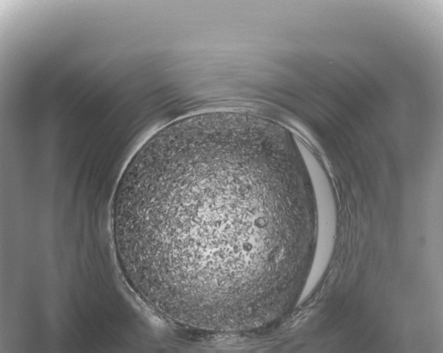 X0000054390907200508051644