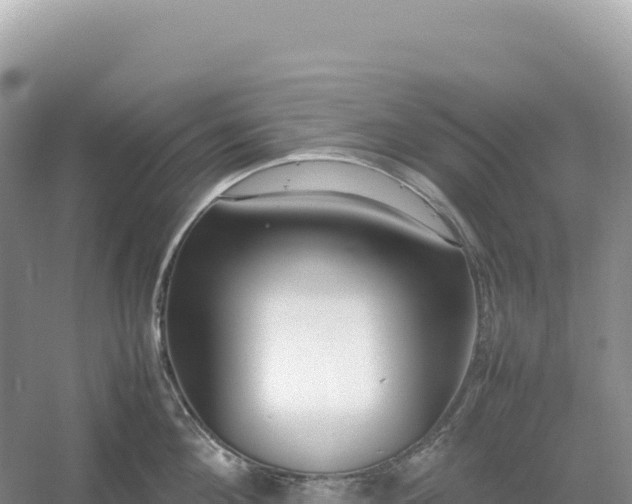 X0000054390908200508051644