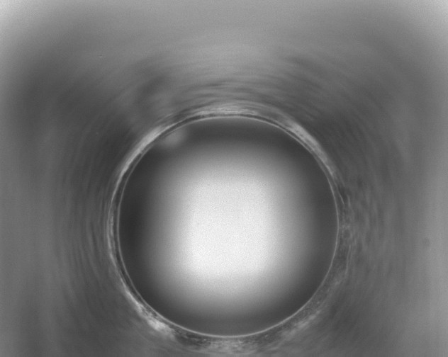 X0000054390909200508051644