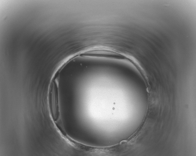 X0000054390910200508051644