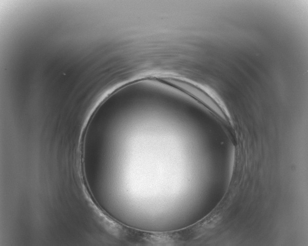 X0000054390911200508051644