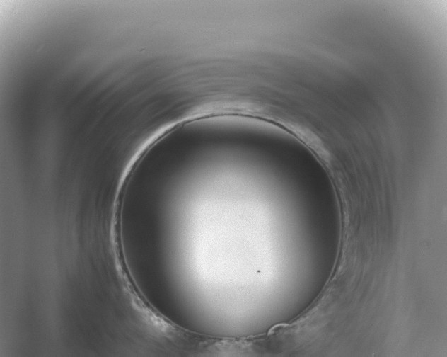 X0000054390912200508051644