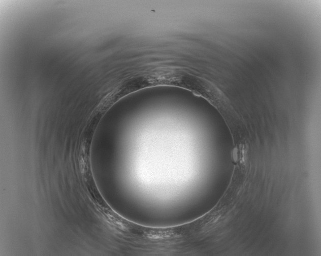 X0000054390915200508051643