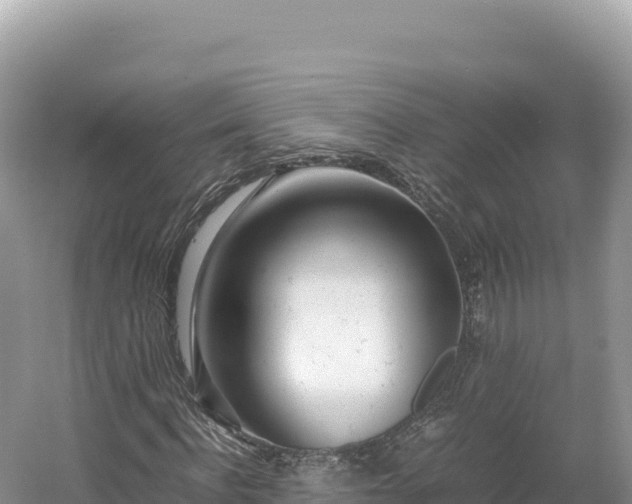 X0000054390916200508051643