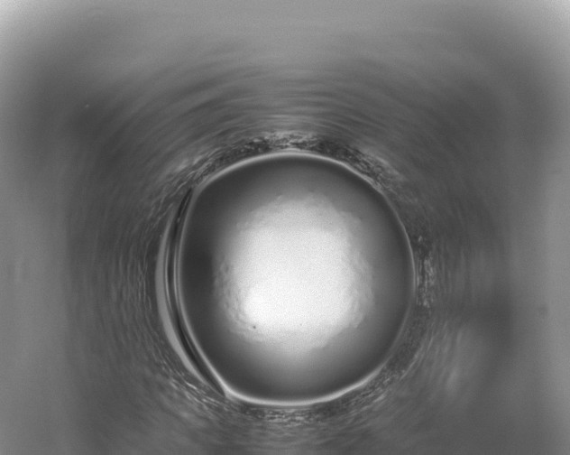 X0000054390917200508051643