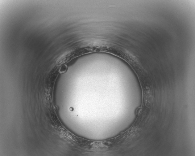 X0000054390918200508051643