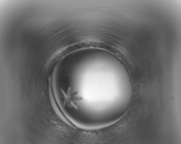 X0000054390919200508051643