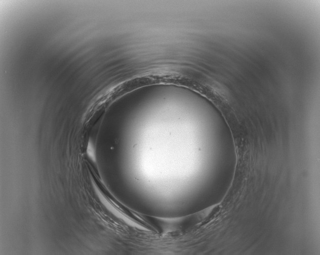 X0000054390920200508051643