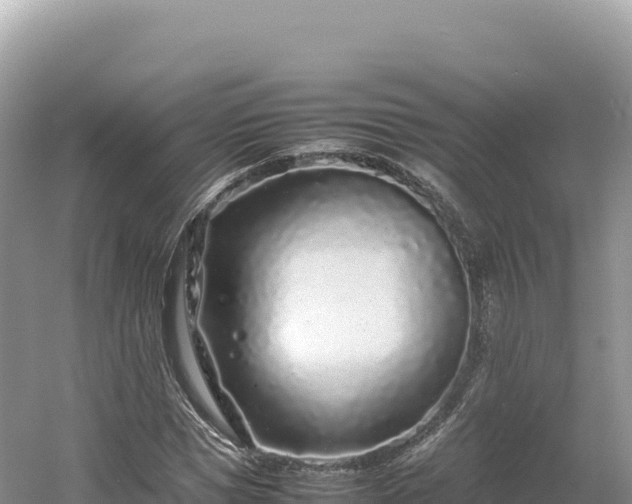 X0000054390921200508051643