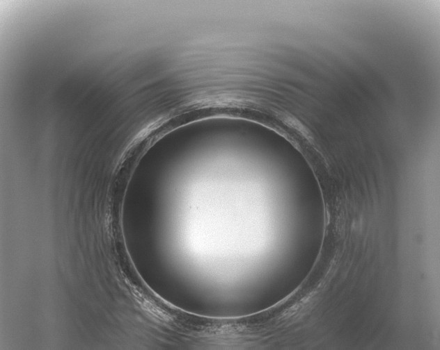 X0000054390922200508051643