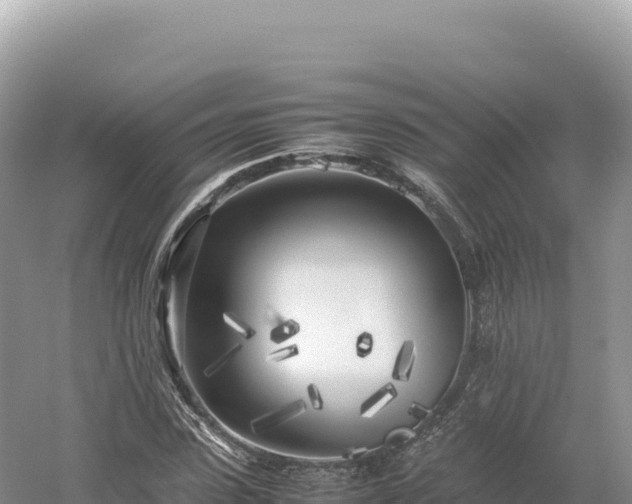 X0000054390923200508051643