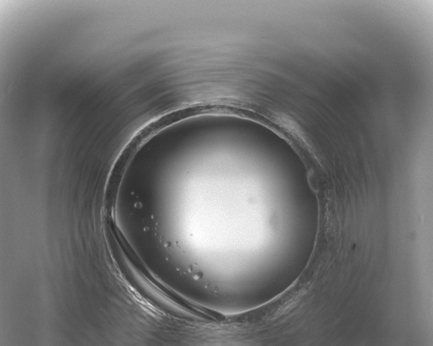 X0000054390924200508051643