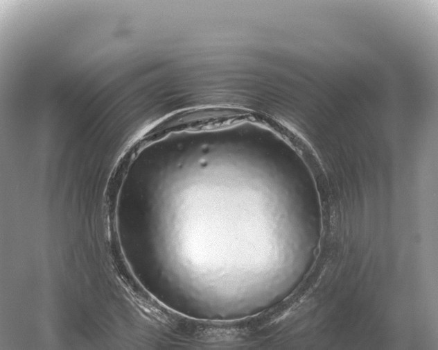 X0000054390925200508051643