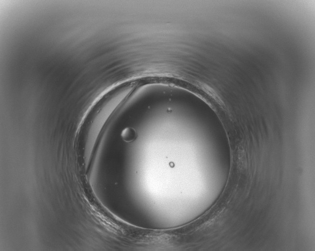 X0000054390926200508051643