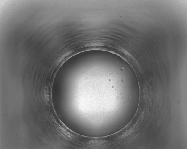 X0000054390929200508051643