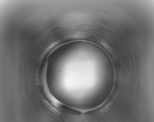 X0000054390930200508051643