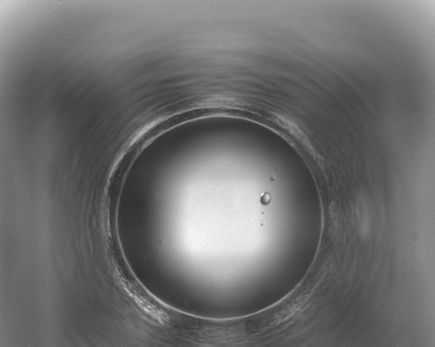 X0000054390931200508051643