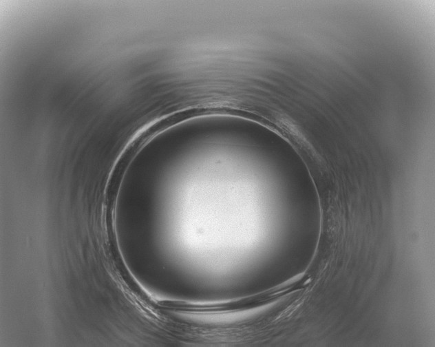 X0000054390932200508051643