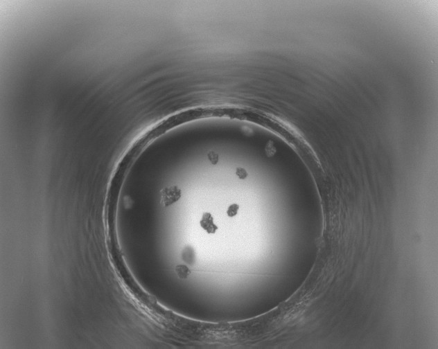 X0000054390935200508051644