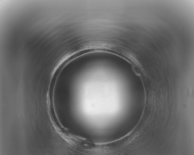 X0000054390936200508051644