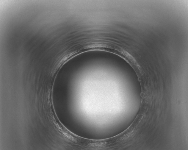 X0000054390937200508051644