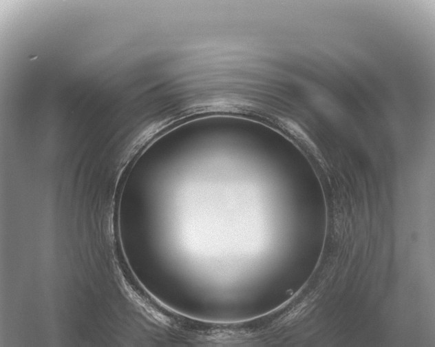 X0000054390938200508051644