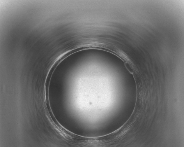 X0000054390940200508051644